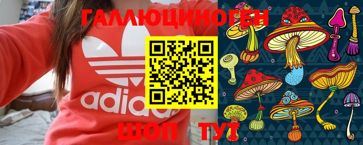 Псилоцибиновые грибы GOLDEN TEACHER  Вход с VPN  Скопин 